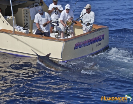 Kona Hawaii Fishing Season Calendar - Humdinger Sport Fishing